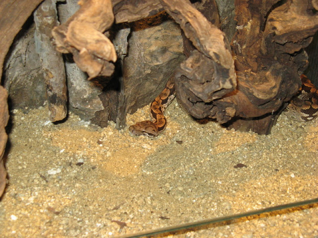 Zoo Barcelona 14.09.2009