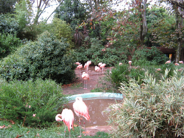 Zoo Barcelona 14.09.2009