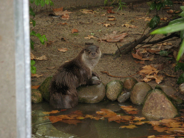 Zoo Barcelona 14.09.2009