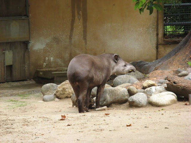 Zoo Barcelona 14.09.2009