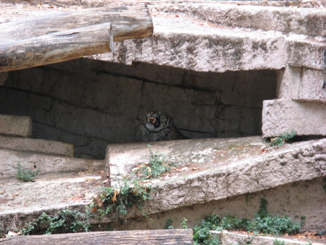 Zoo Barcelona 14.09.2009