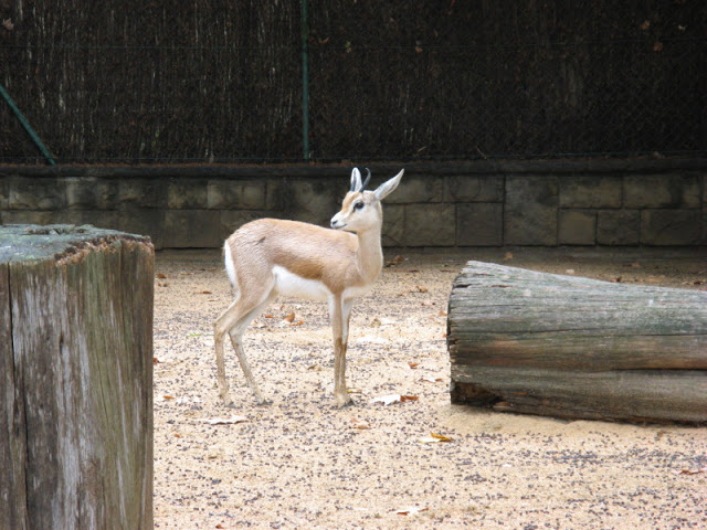 Zoo Barcelona 14.09.2009