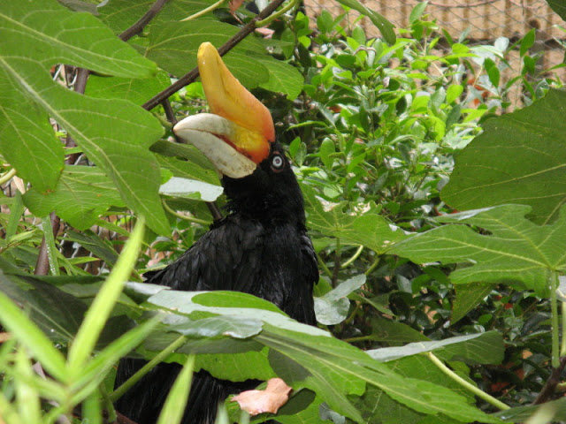 Zoo Barcelona 14.09.2009
