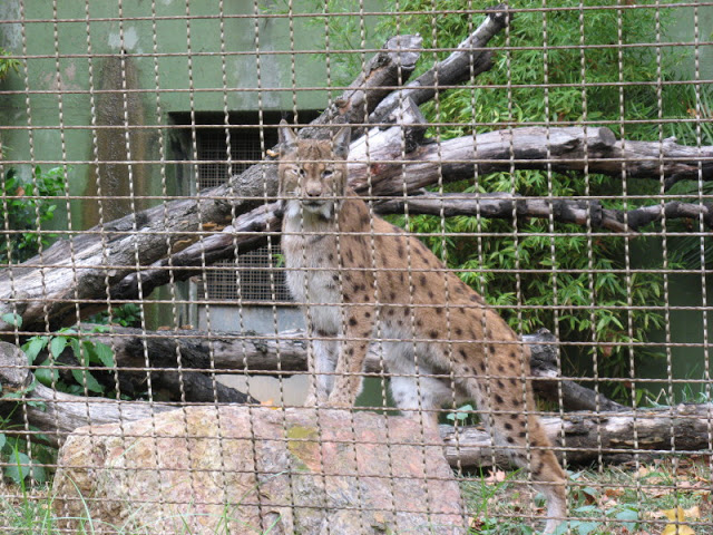 Zoo Barcelona 14.09.2009