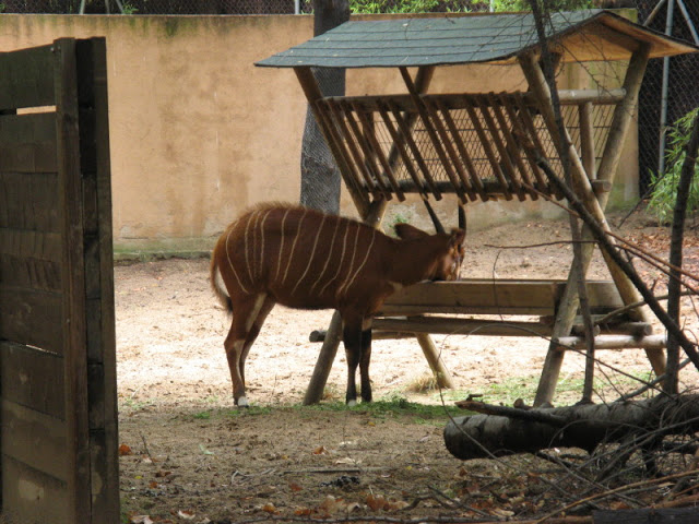 Zoo Barcelona 14.09.2009