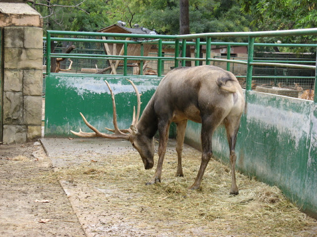 Zoo Barcelona 14.09.2009