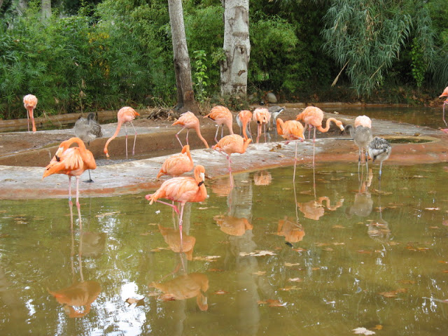 Zoo Barcelona 14.09.2009