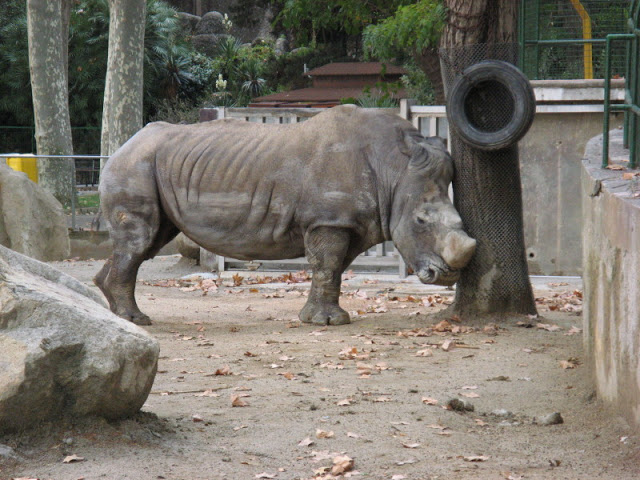 Zoo Barcelona 14.09.2009