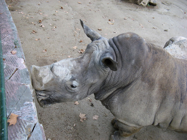 Zoo Barcelona 14.09.2009