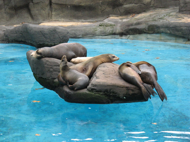 Zoo Barcelona 14.09.2009