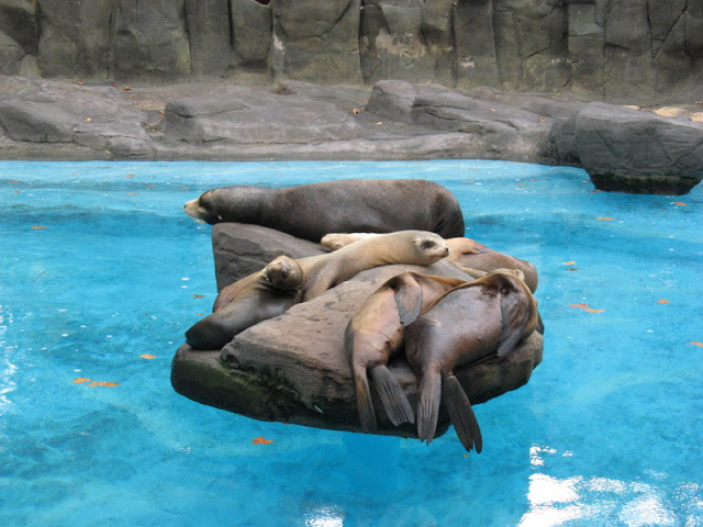 Zoo Barcelona 14.09.2009