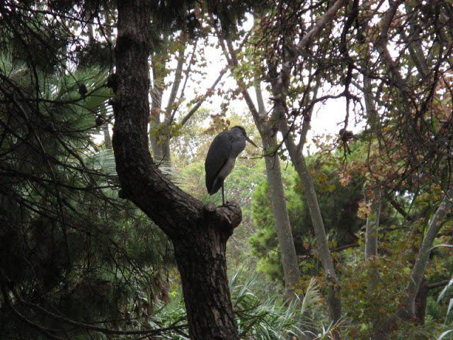Zoo Barcelona 14.09.2009