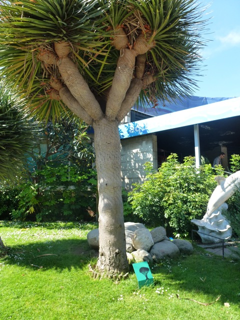 Zoo Barcelona 23.5.12