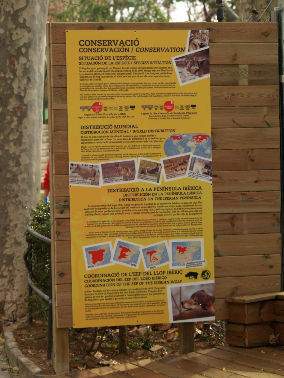 Zoo Barcelona -Iberian wolf info panel