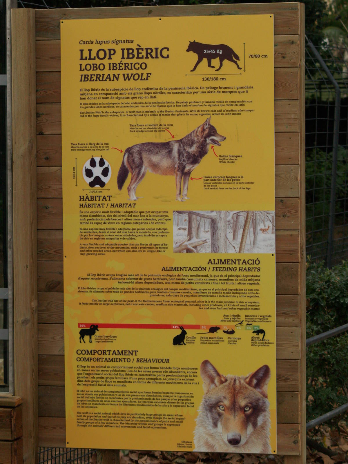Zoo Barcelona - Iberian wolf info panel