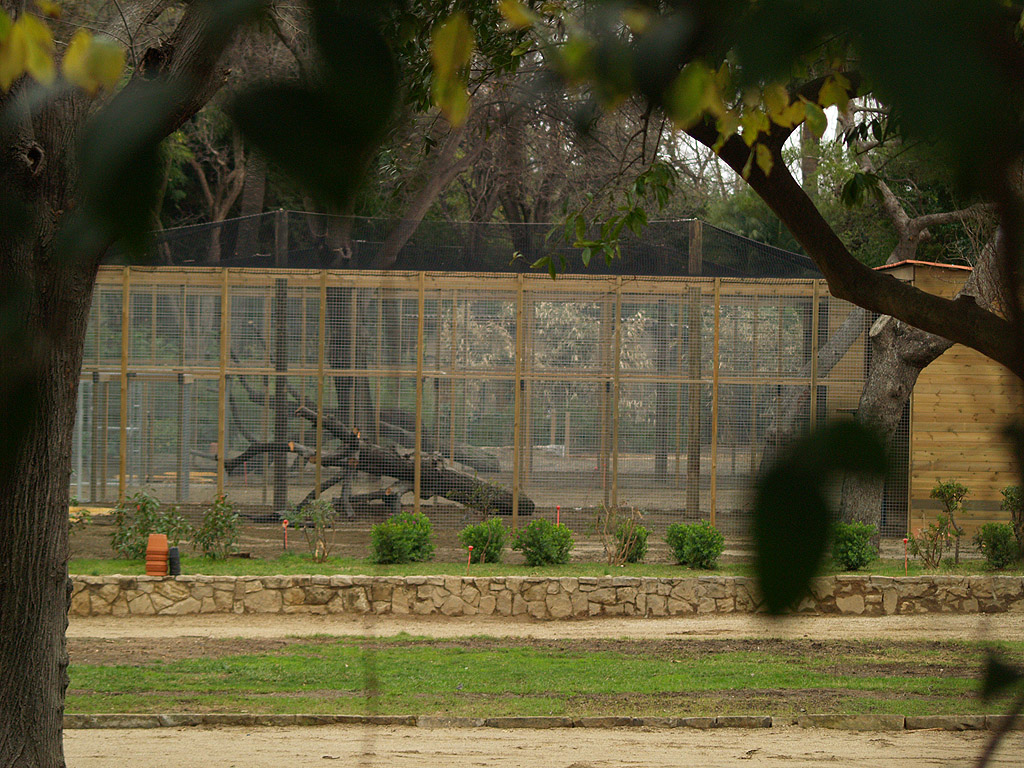 Zoo Barcelona - Lammergeier aviary