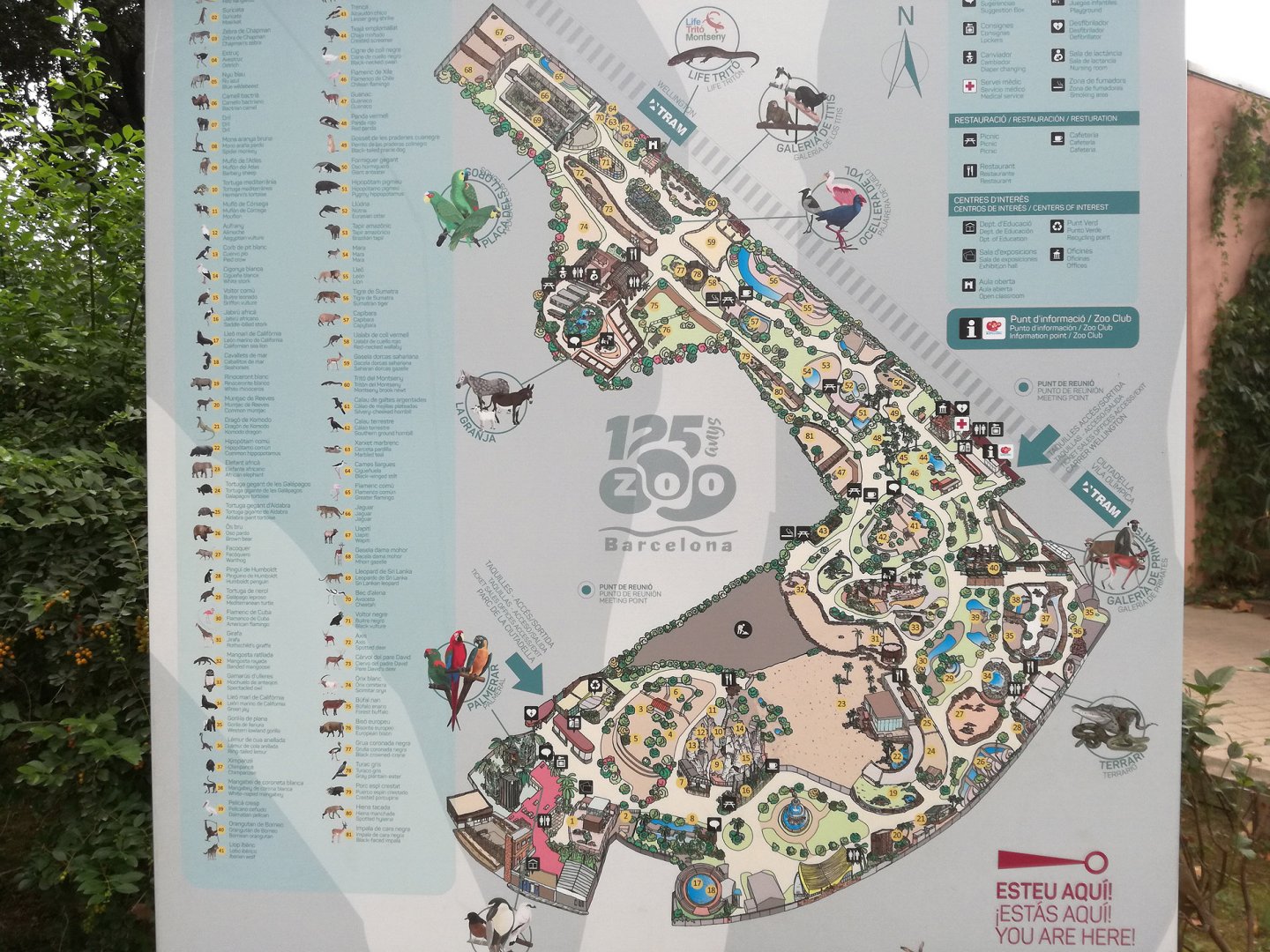 Zoo Barcelona map