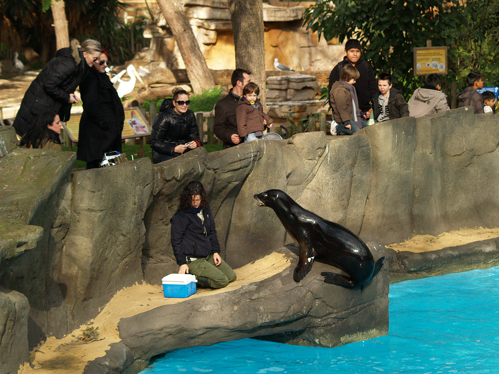 Zoo Barcelona -Sea lions