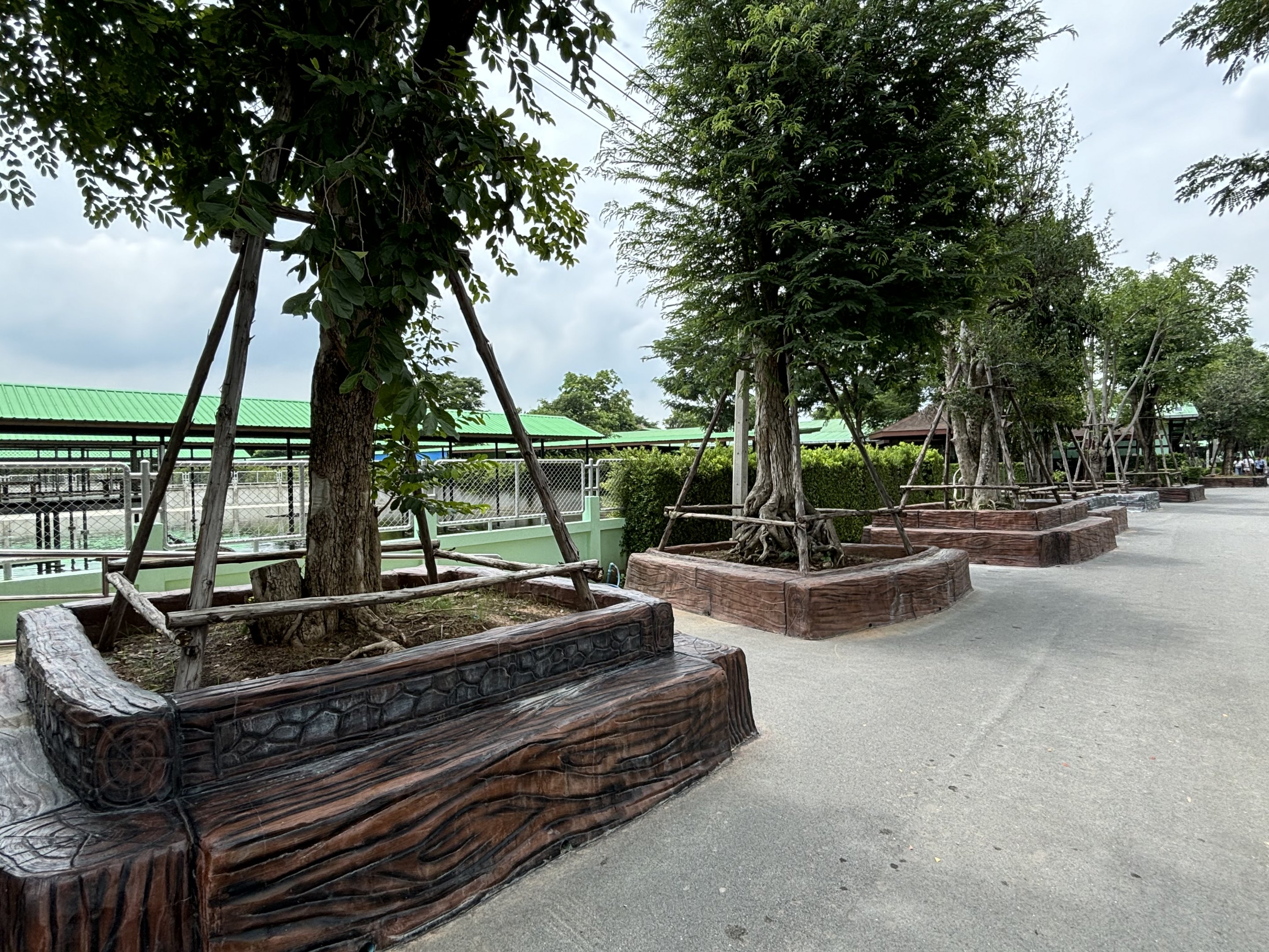 Zoo Benches - Lion Park