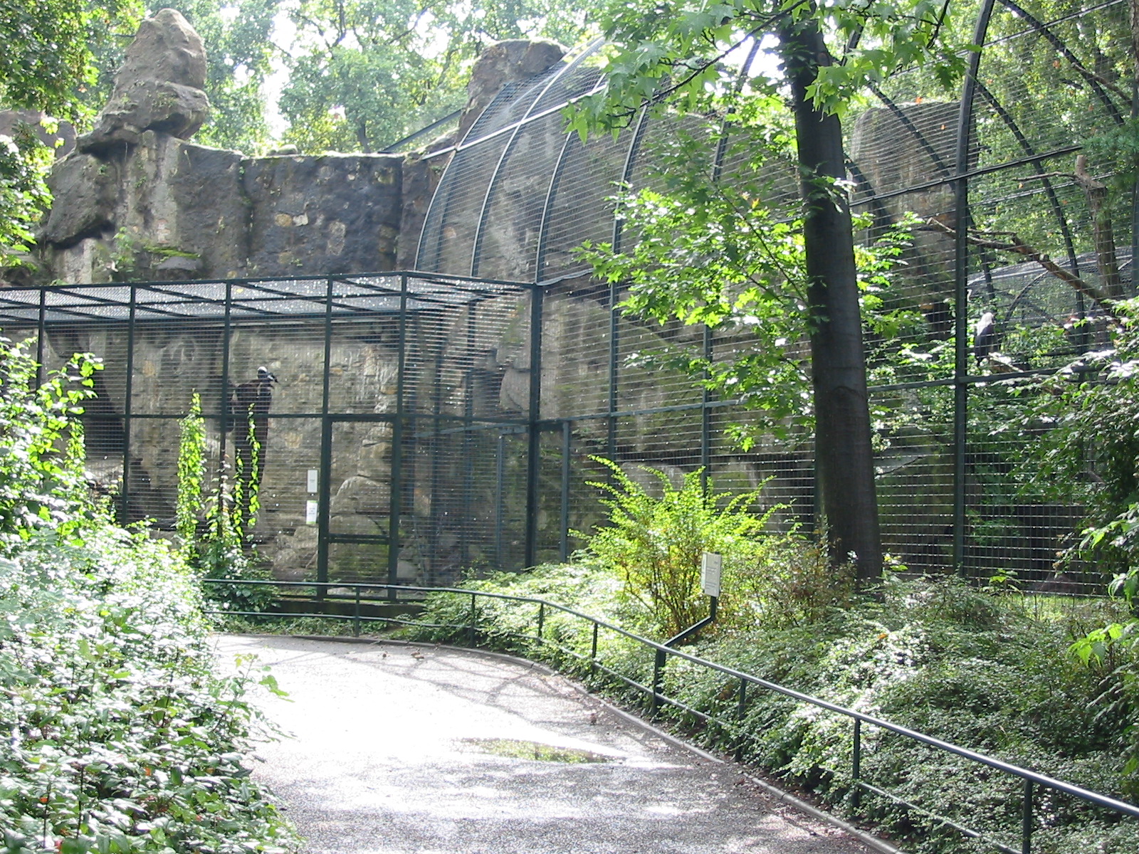 Zoo Berlin 2004 - Birds of Prey aviaries