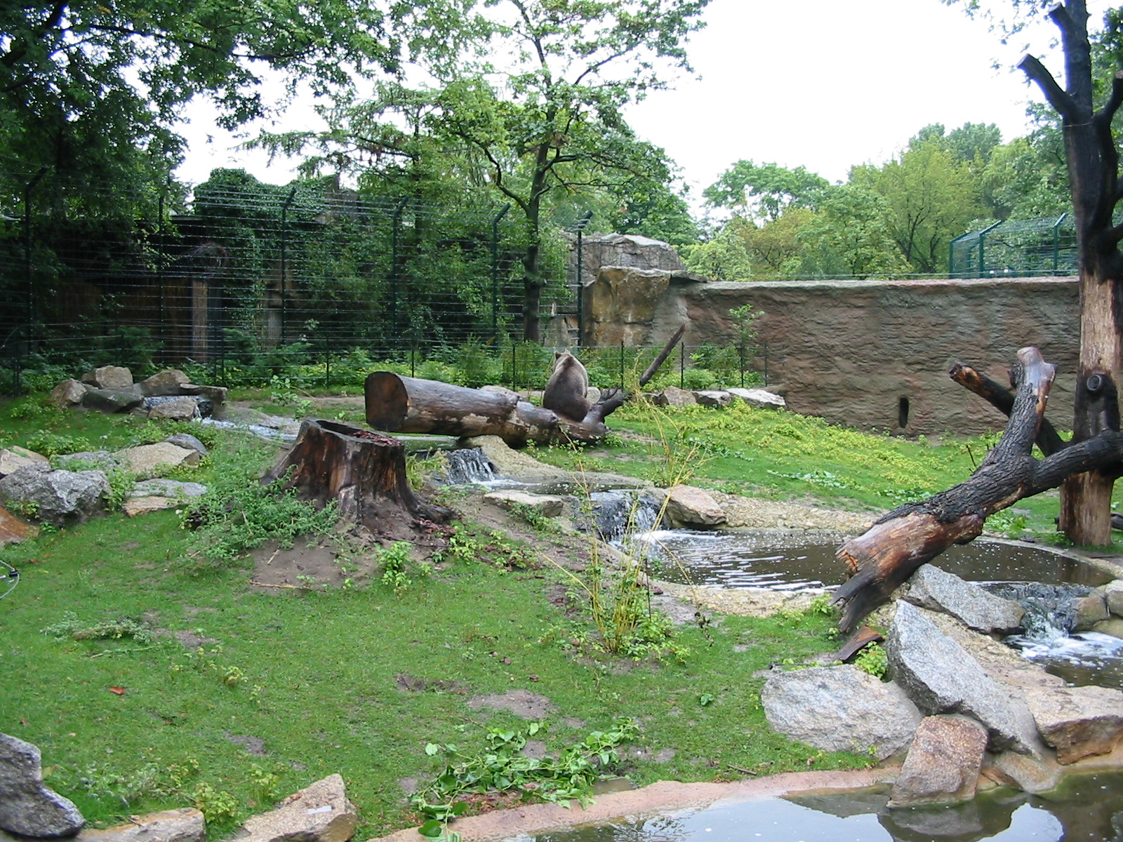 Zoo Berlin 2004 - Brown Bear modified exhibit