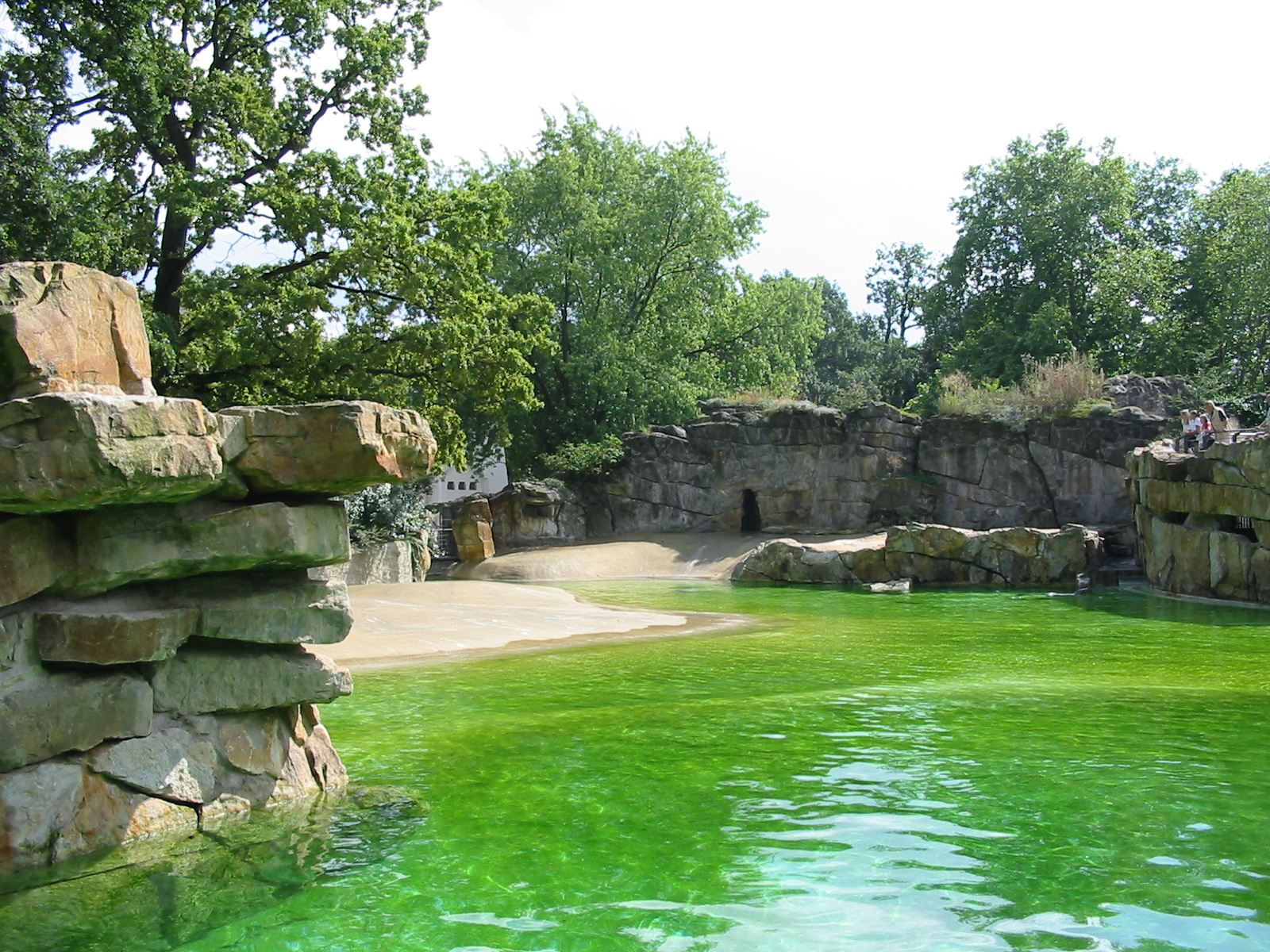 Zoo Berlin 2004 - California Sea Lion pool