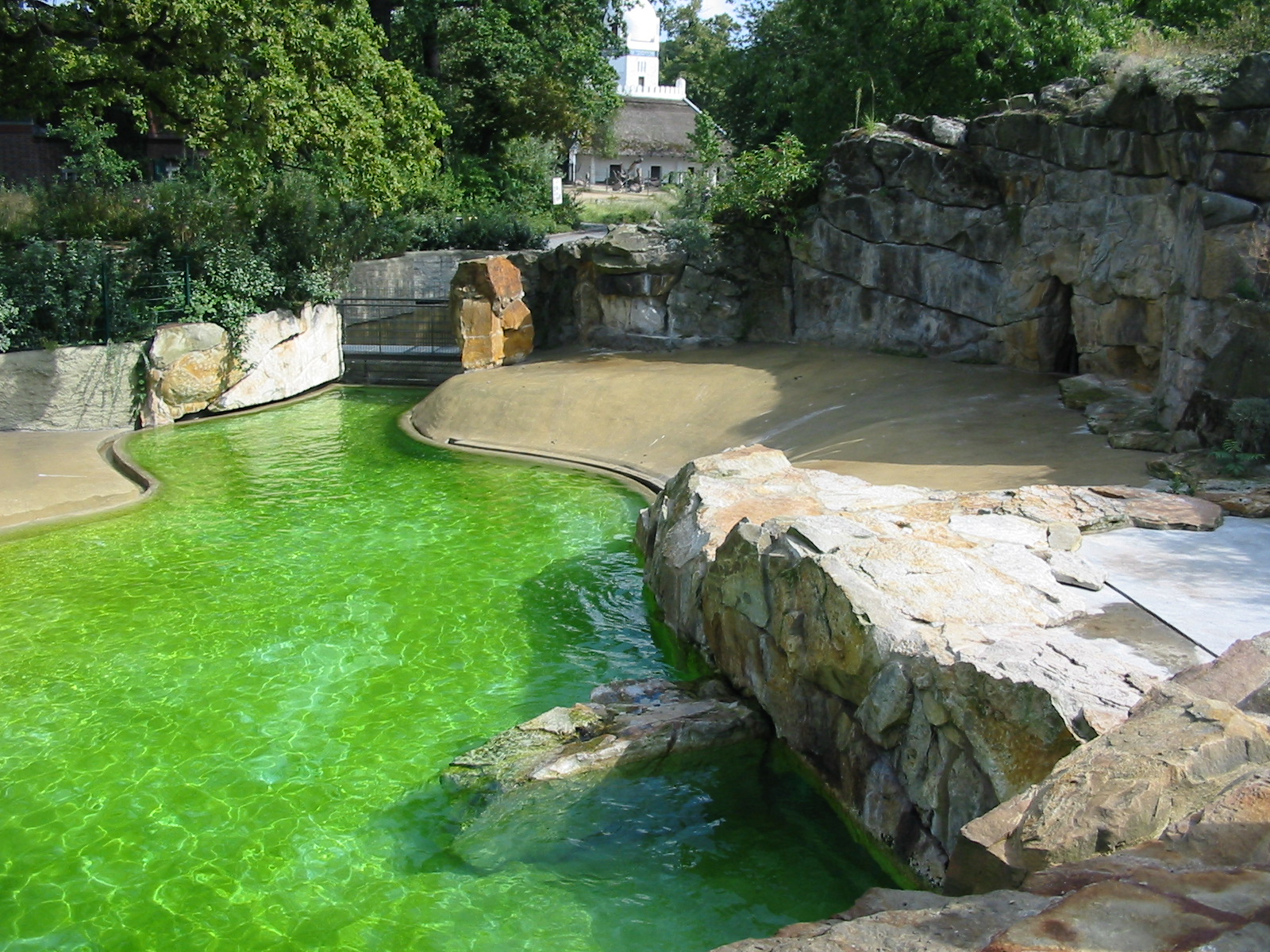 Zoo Berlin 2004 - Common Seal pool?