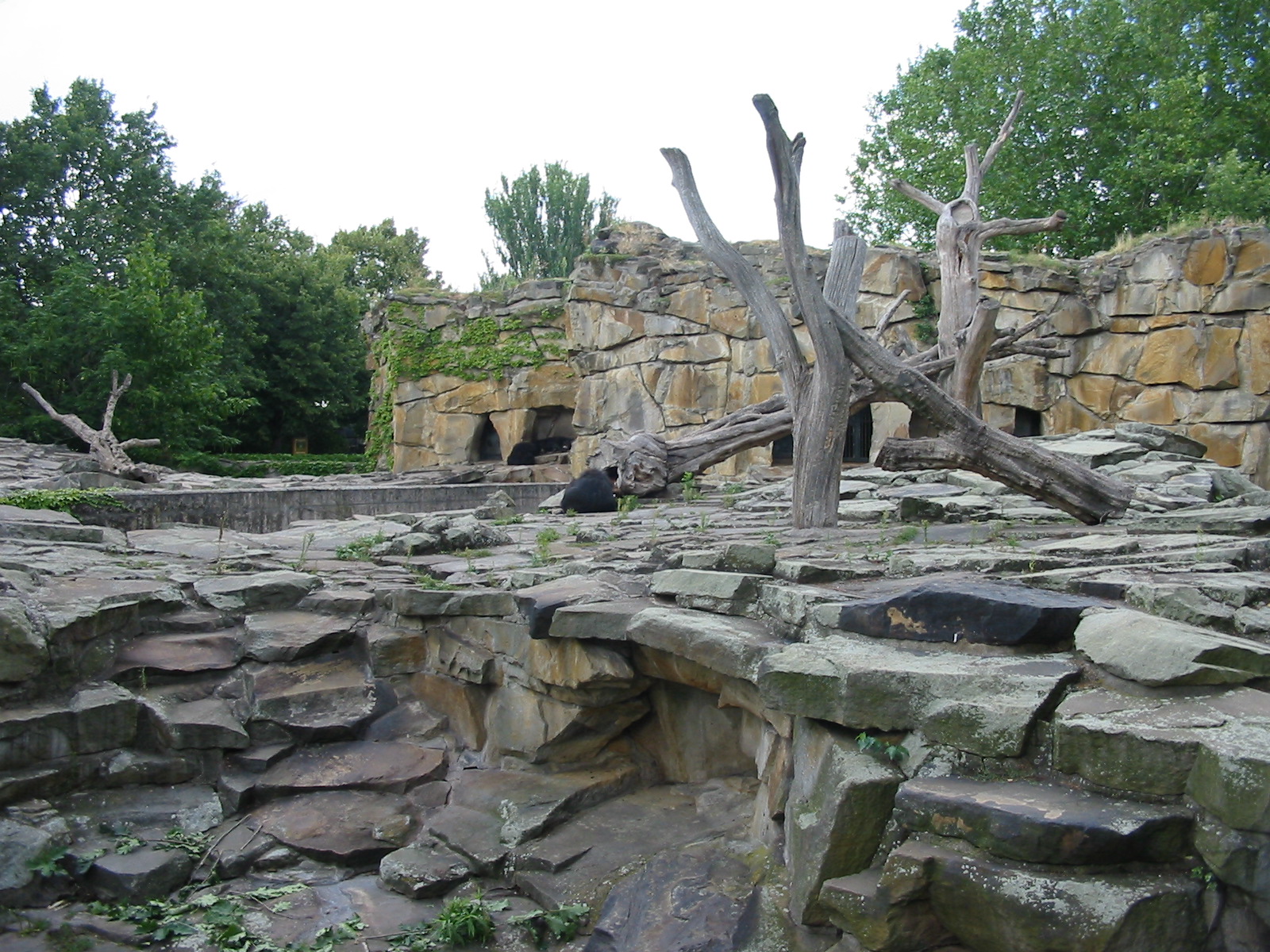 Zoo Berlin 2004 - Concrete bear exhibits