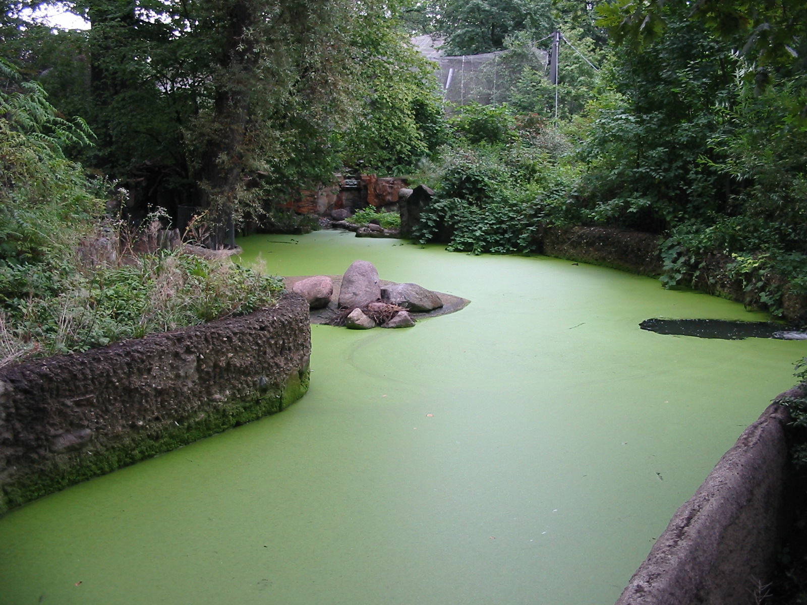 Zoo Berlin 2004 - Exhibit moat