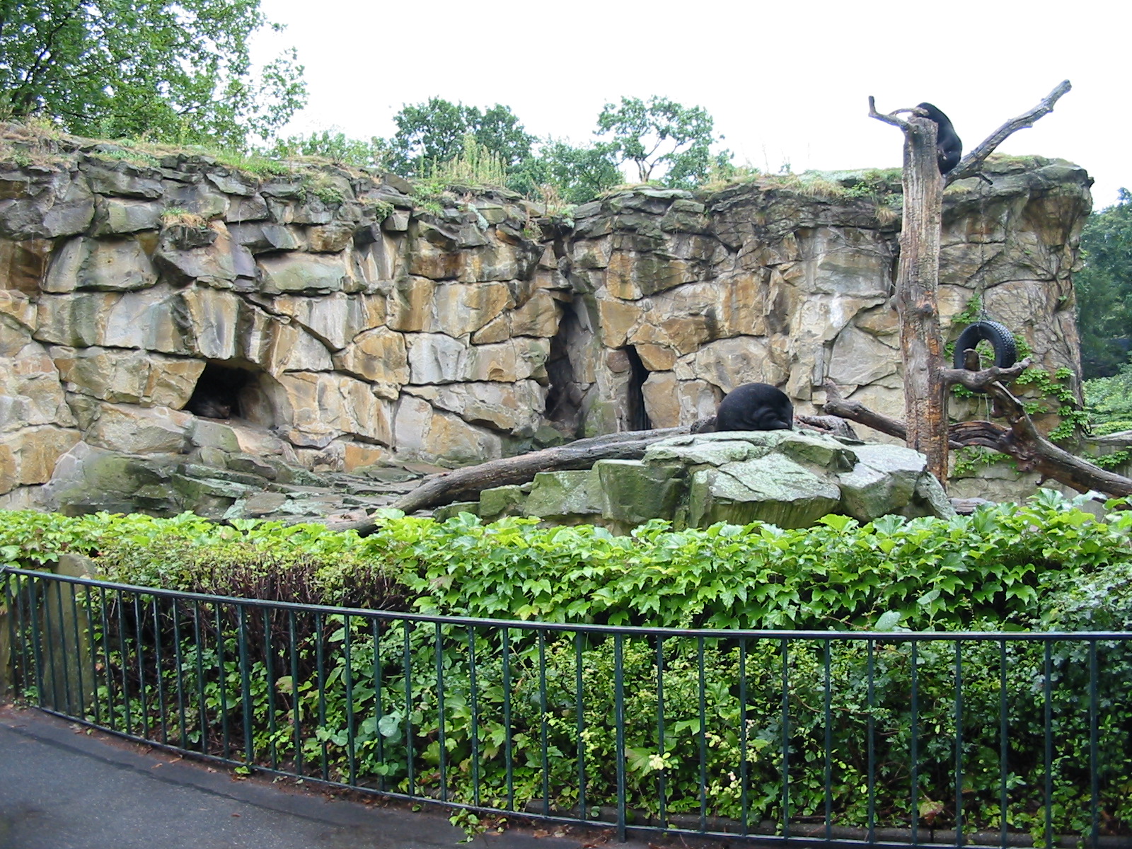 Zoo Berlin 2004 - Front of Malayan Sun Bear exhibit