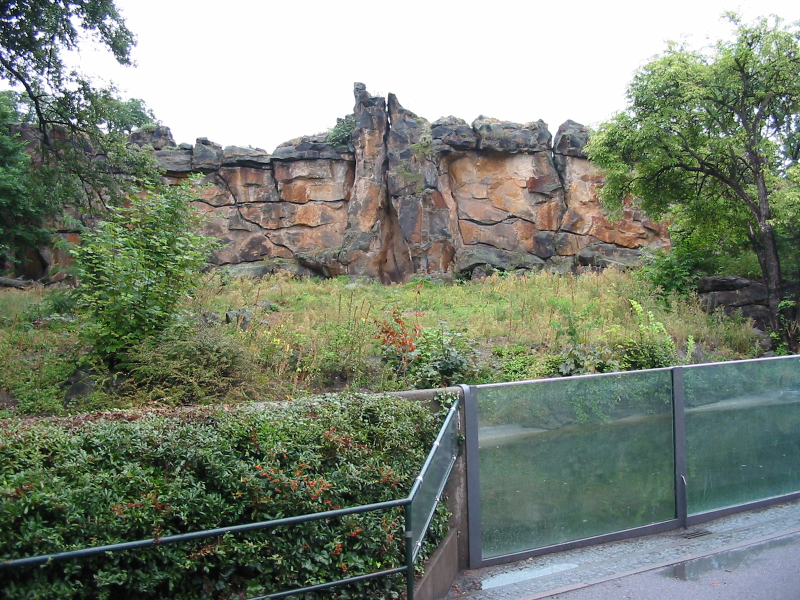 Zoo Berlin 2004 - Front of the African Lion exhibit
