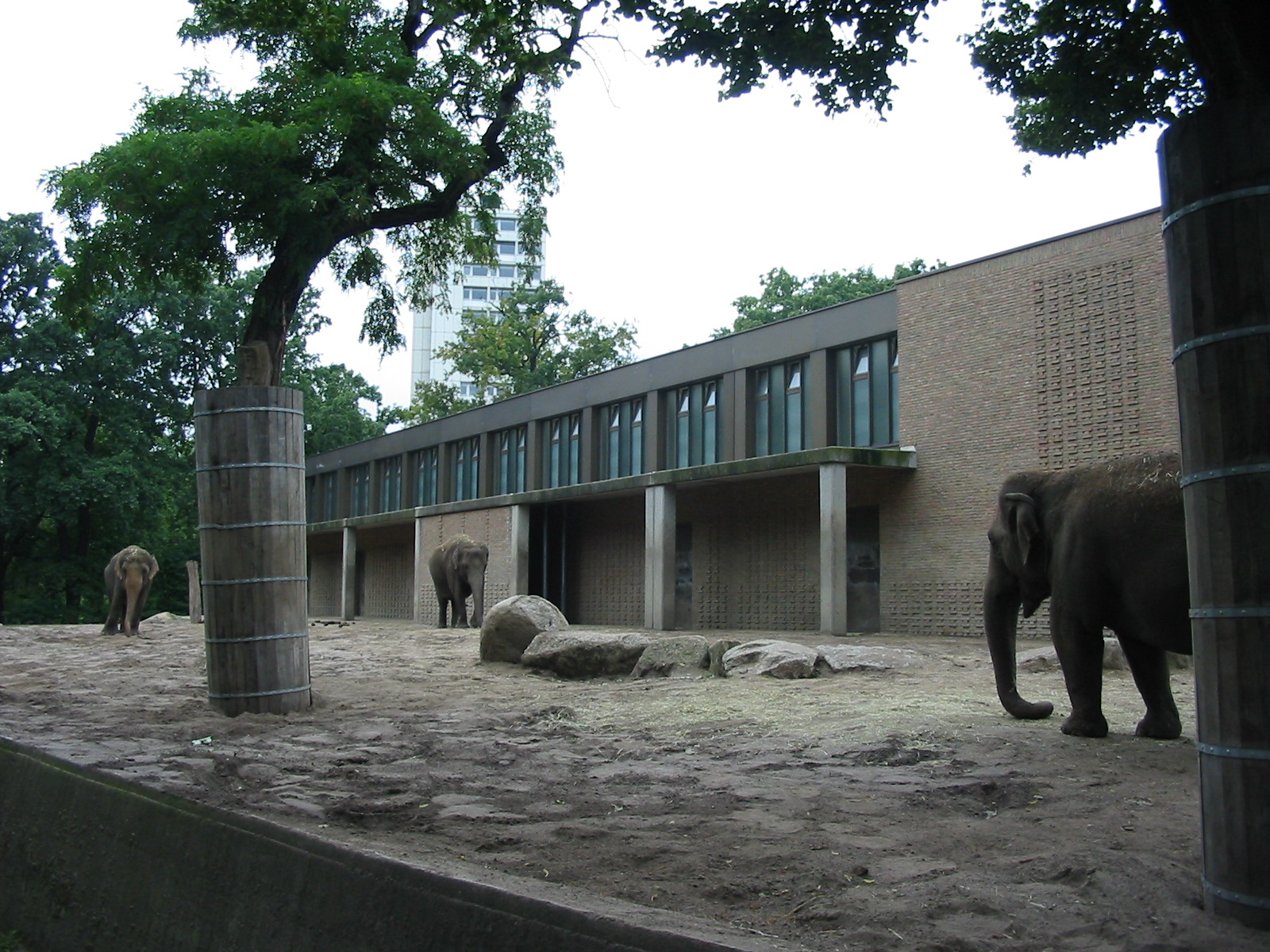 Zoo Berlin 2004 - Front of the Asiatic Elephant exhibit