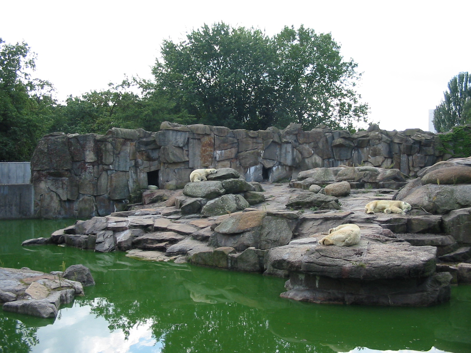 Zoo Berlin 2004 - Front of the Polar Bear exhibit