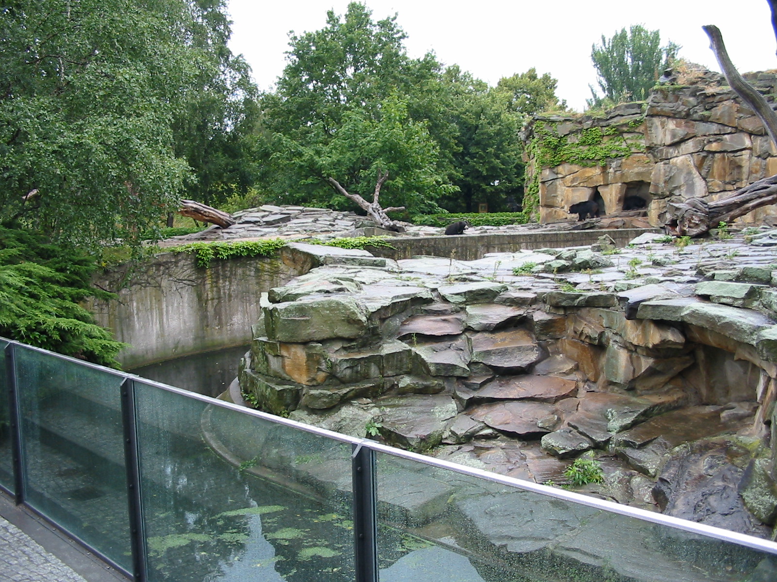 Zoo Berlin 2004 - Front view from one Sloth Bear exhibit to another