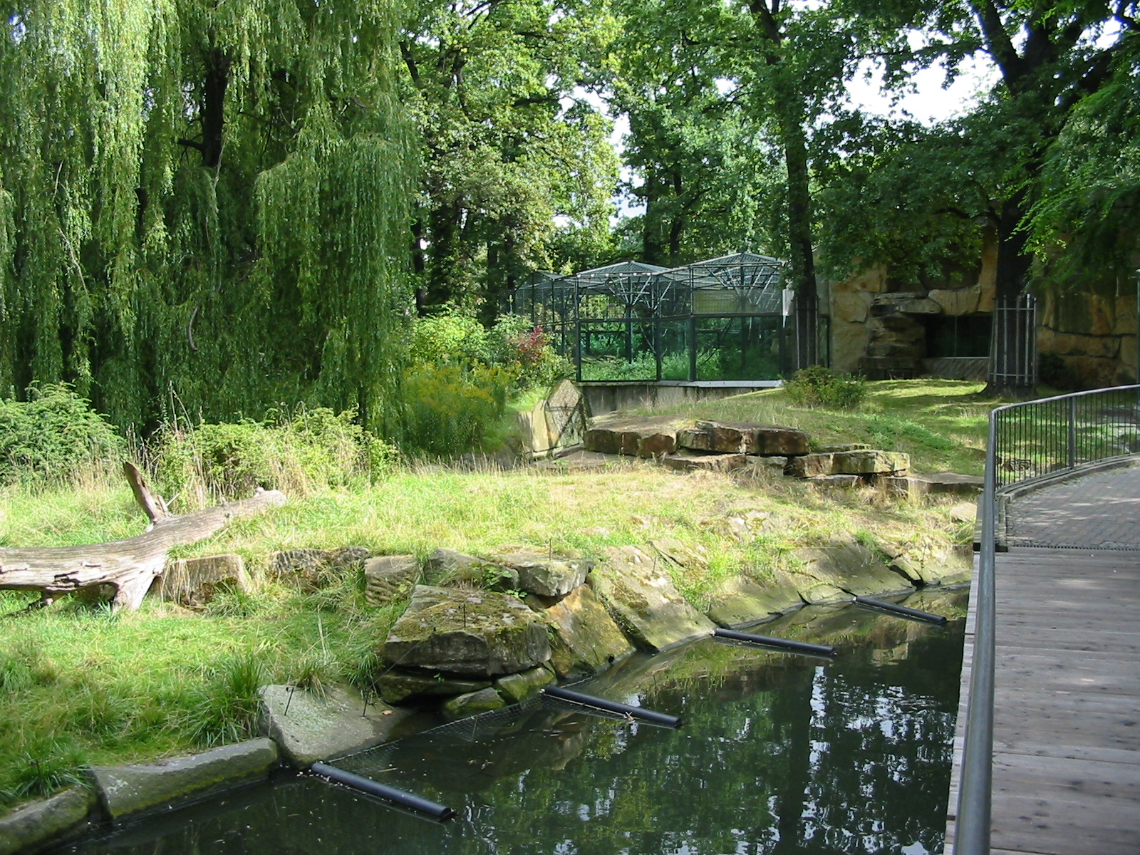 Zoo Berlin 2004 - Gorilla island and boardwalk