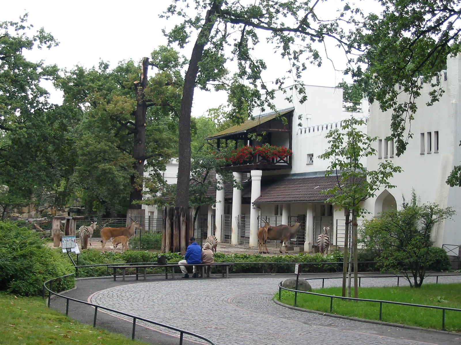 Zoo Berlin 2004 - Grants Zebra and Common Eland exhibit