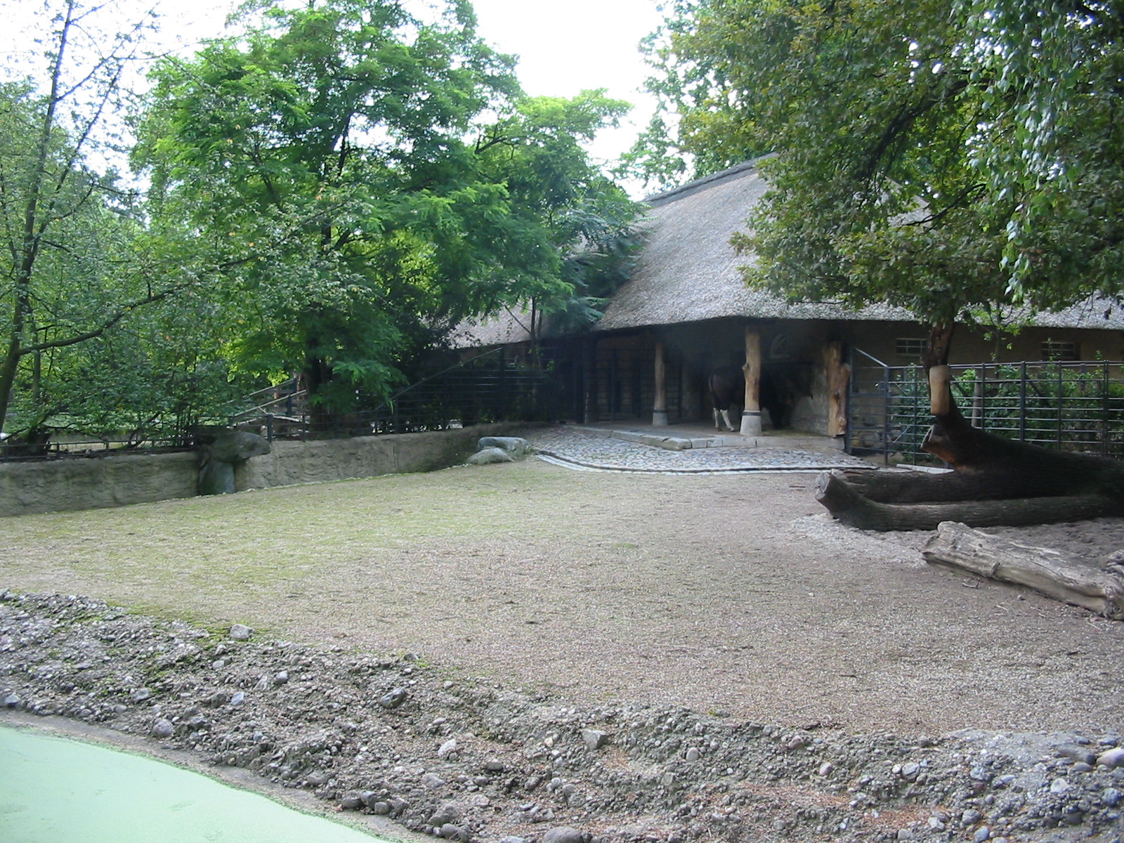Zoo Berlin 2004 - Indian Gaur exhibit