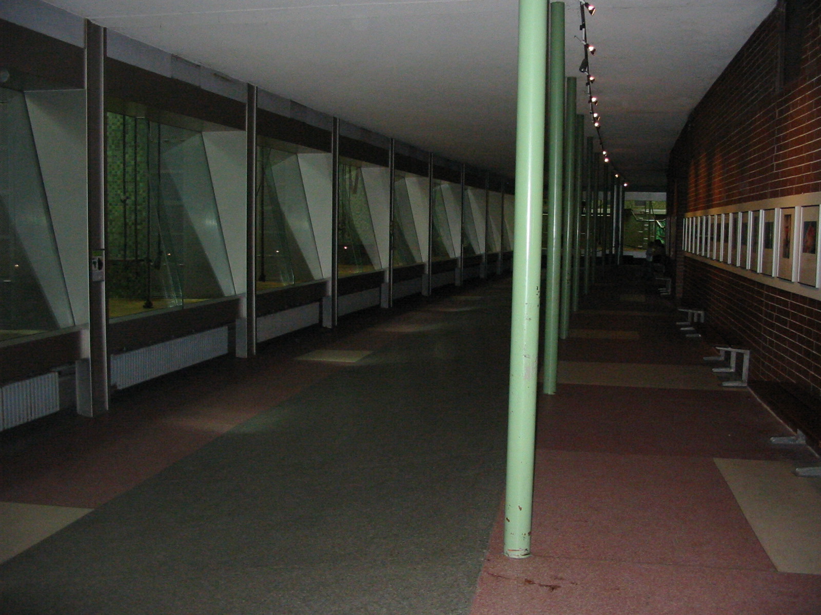 Zoo Berlin 2004 - Inside the Ape House