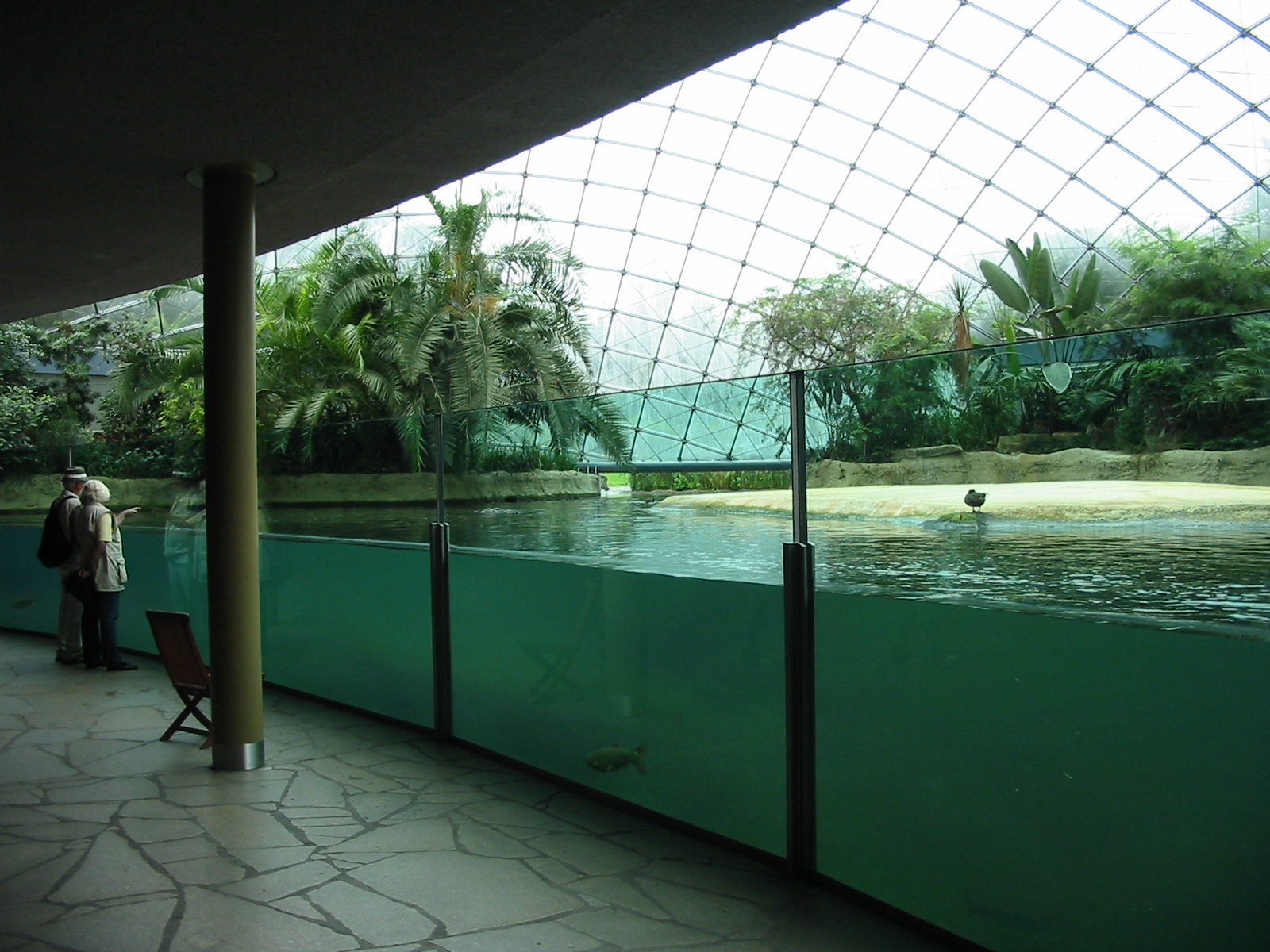 Zoo Berlin 2004 - Inside the Hippopotamus Dome