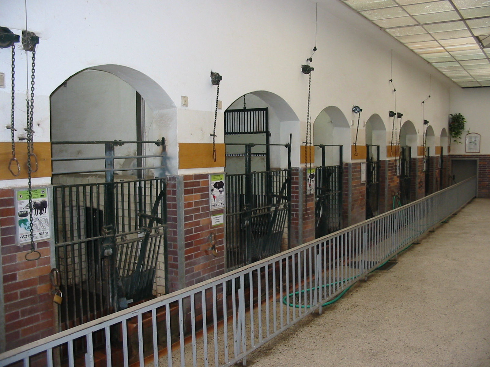 Zoo Berlin 2004 - Inside the historic Swine House