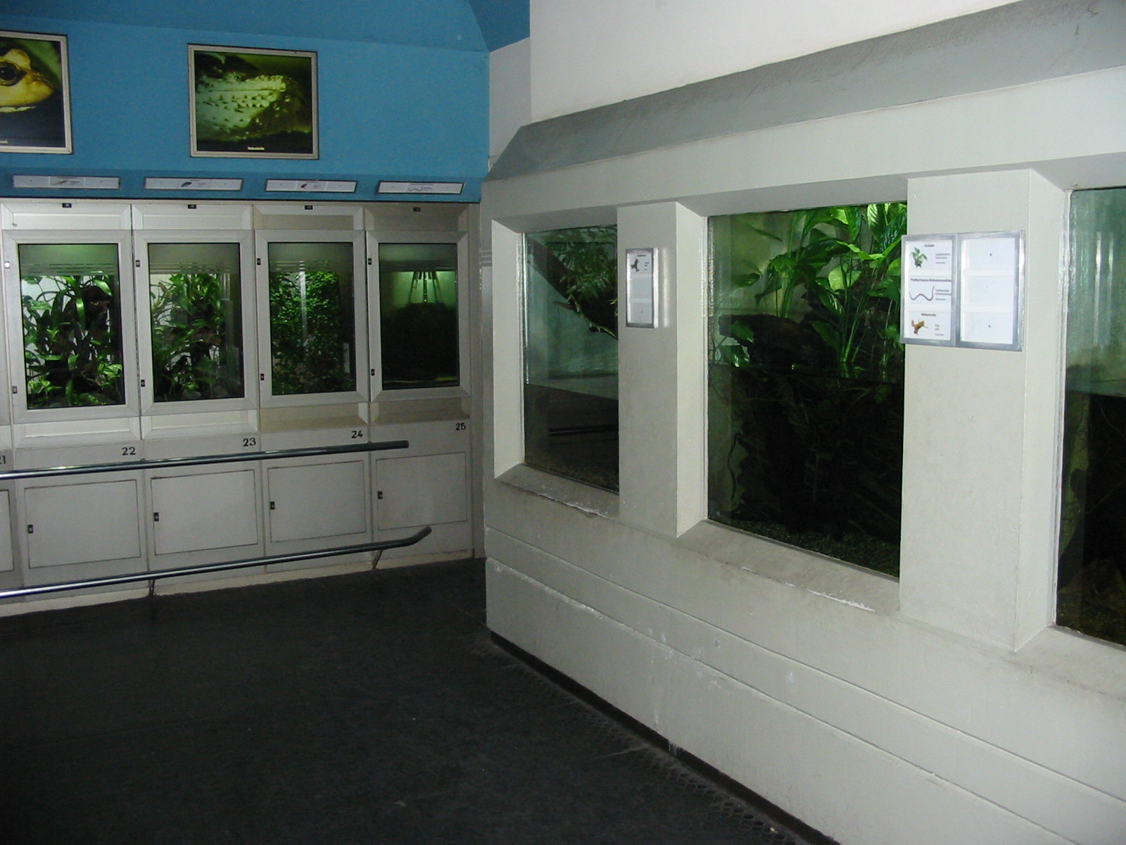 Zoo Berlin 2004 - Inside the Zoo Aquarium