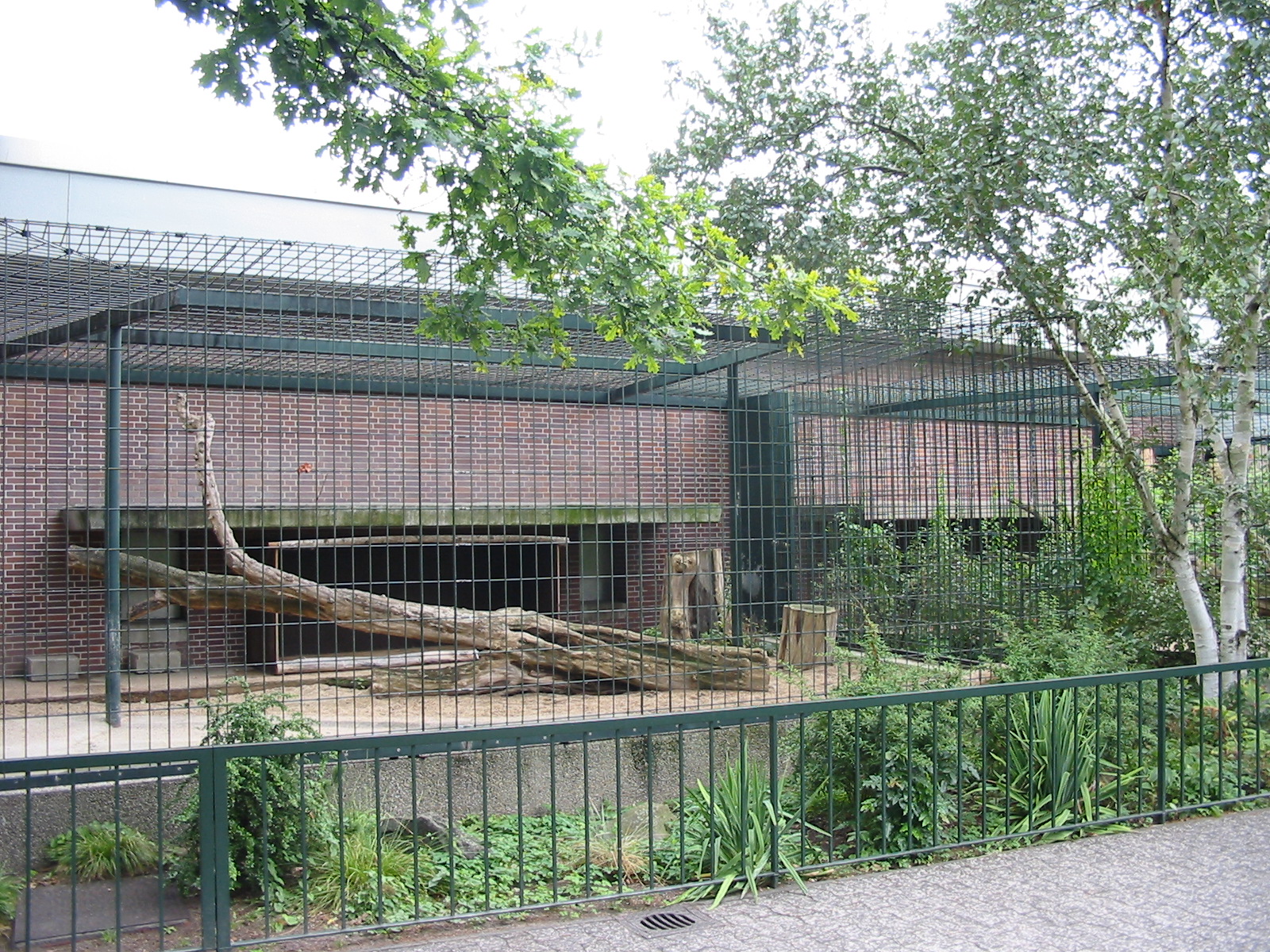 Zoo Berlin 2004 - Leopard enclosure outside the Carnivore House