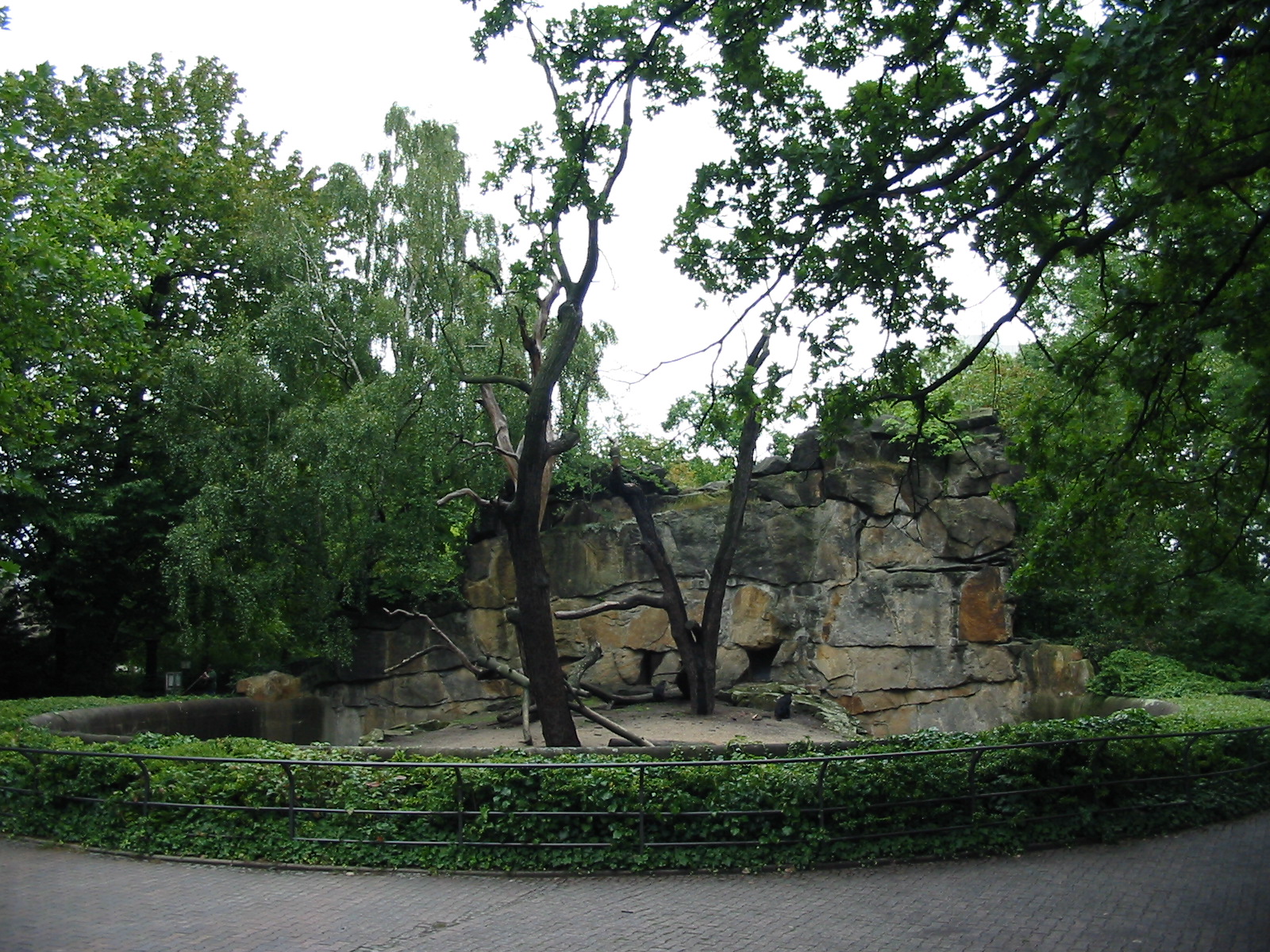 Zoo Berlin 2004 - Lion-tailed Macaque rocky grotto