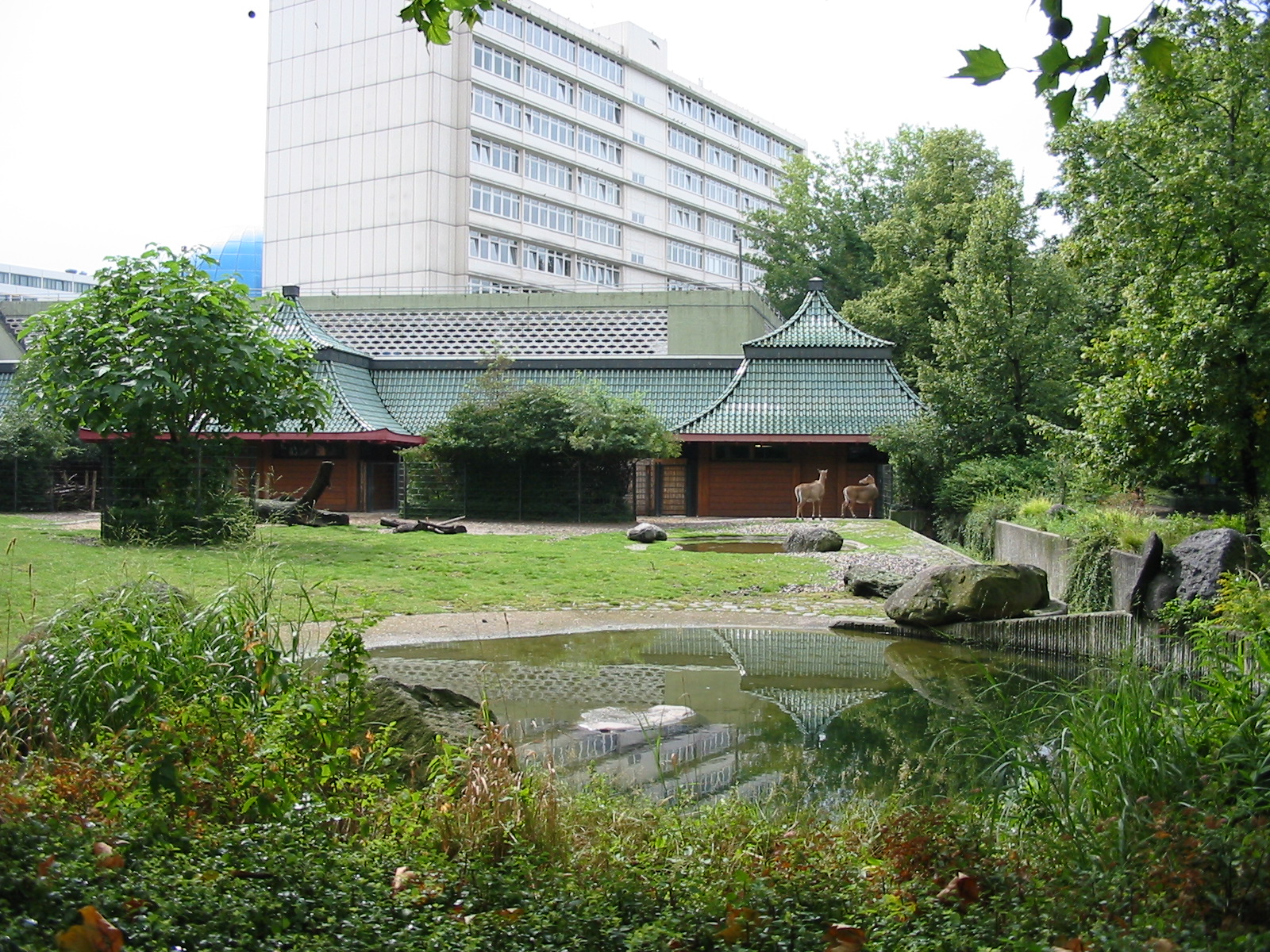Zoo Berlin 2004 - Nilgai exhibit close to the main entrance