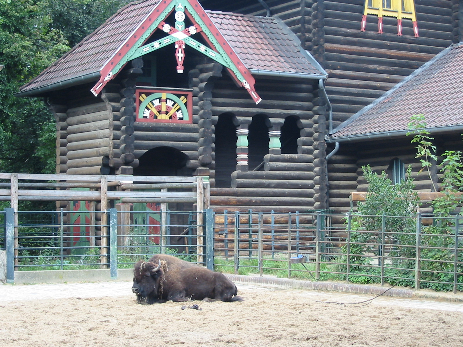Zoo Berlin 2004 - Other part of the American Bison exhibit