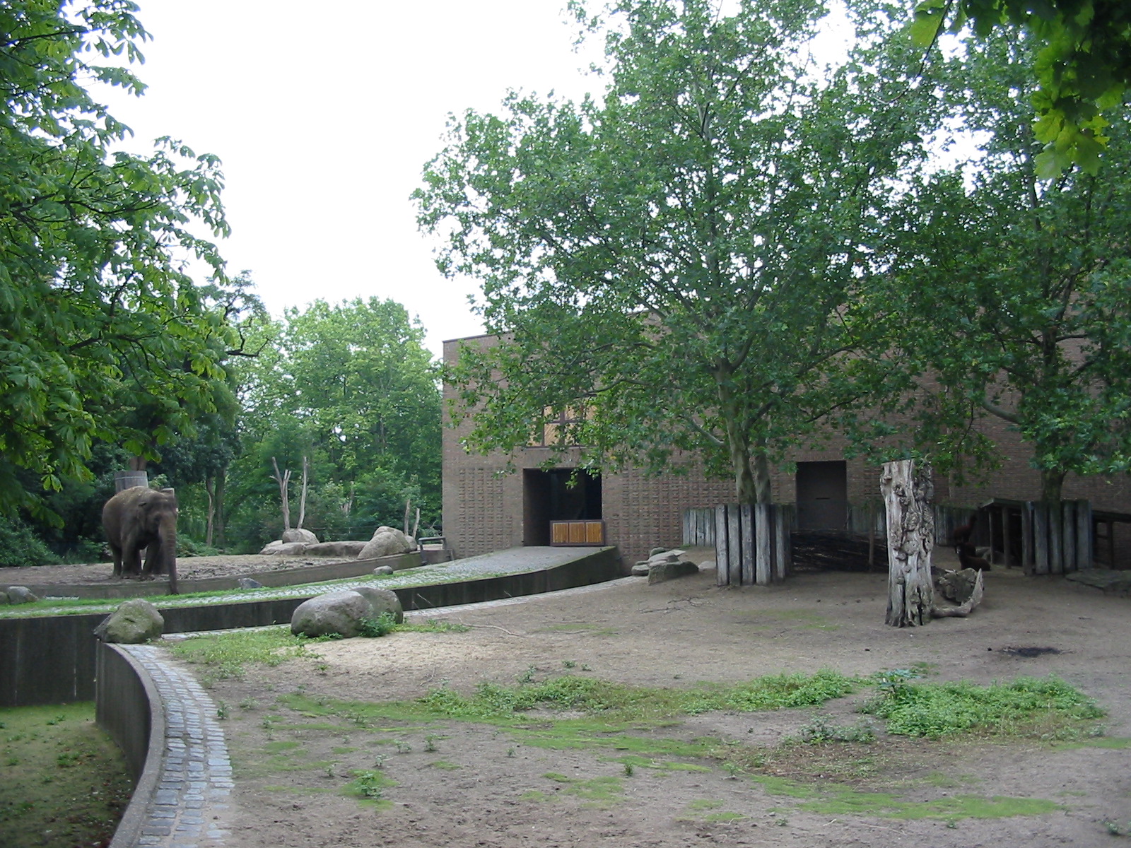 Zoo Berlin 2004 - Side exhibit at the Elephant House