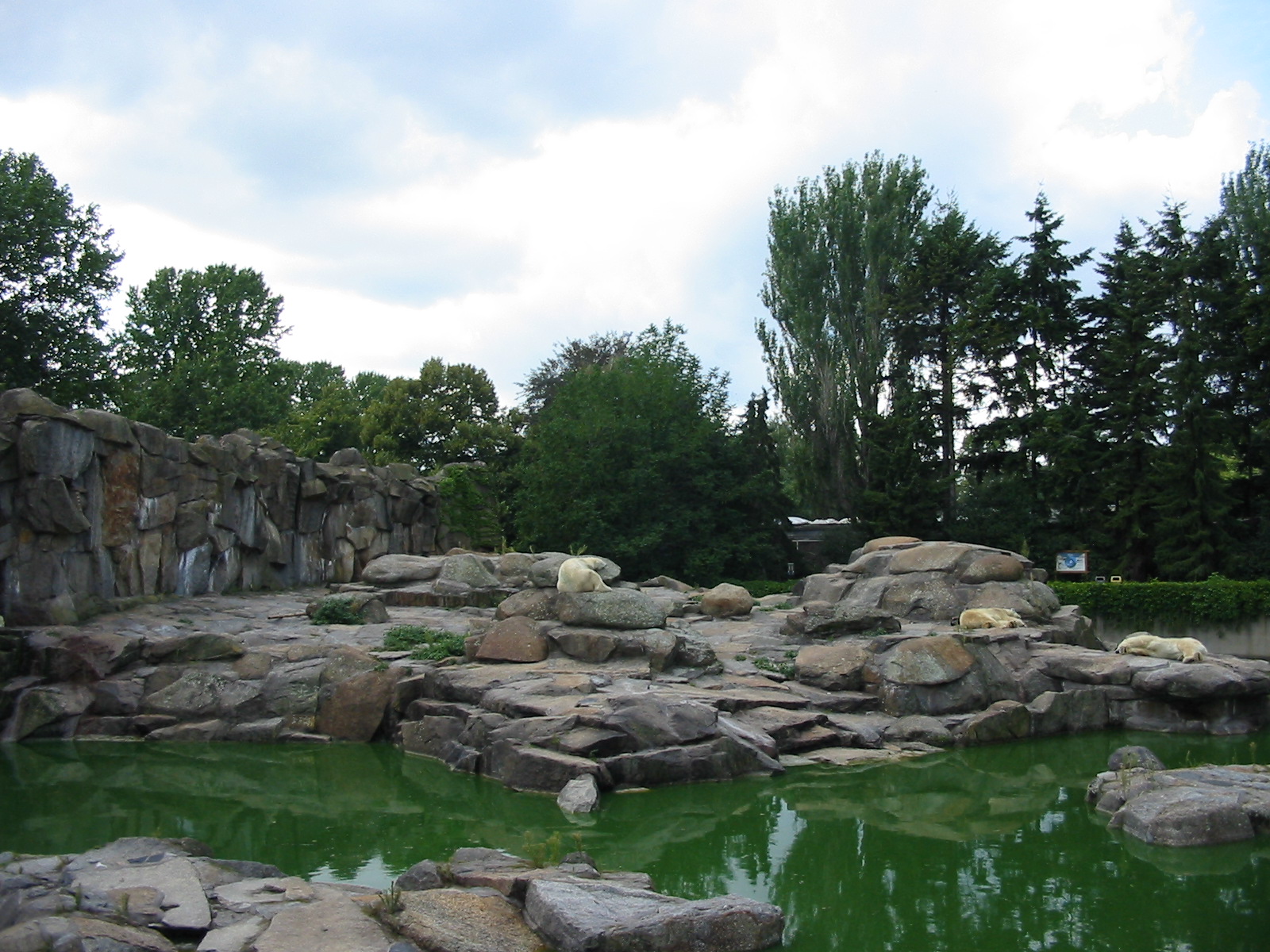 Zoo Berlin 2004 - Side of the Polar Bear exhibit