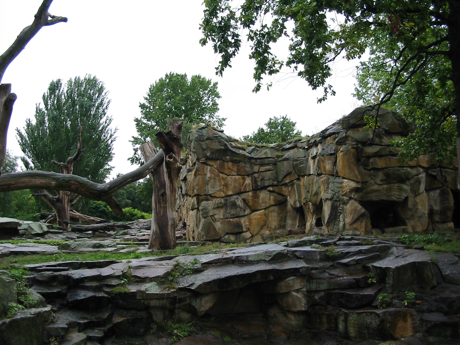 Zoo Berlin 2004 - Spectacled Bear rocky exhibit
