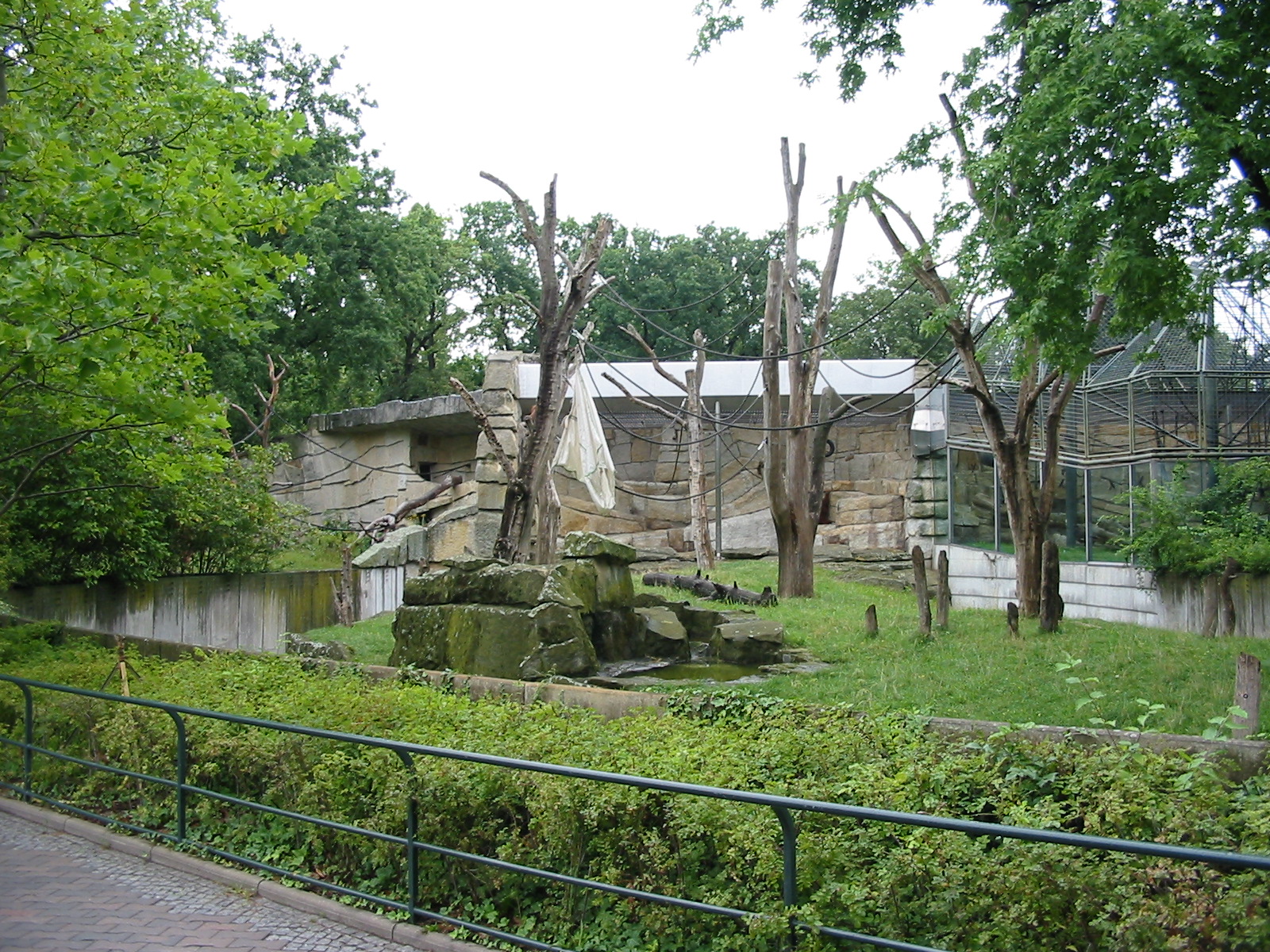 Zoo Berlin 2004 - Sumatran Orangutan outdoor exhibit