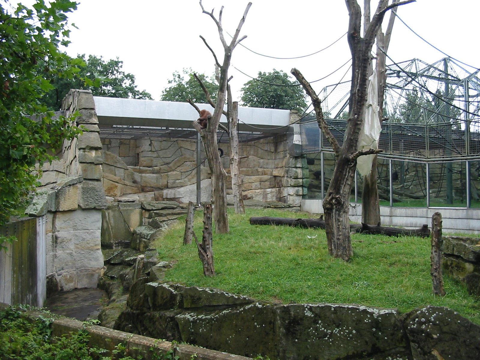 Zoo Berlin 2004 - Sumatran Orangutan outdoor exhibit